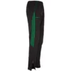 Men's Aston Squad Skinny Pant Black / Green