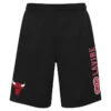 Men's Chicago Bulls Jump Ball Short Black
