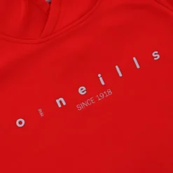 Men's Nathan Technical Fleece Overhead Hoodie Red / Silver -Canterbury Shop nath 012 0 gen rdsvxx adlt p6