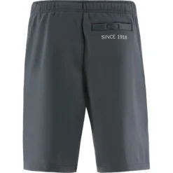 Men's Zack Technical Fleece Shorts Dark Grey -Canterbury Shop zack 295 0 gen dgxxxx adlt p3